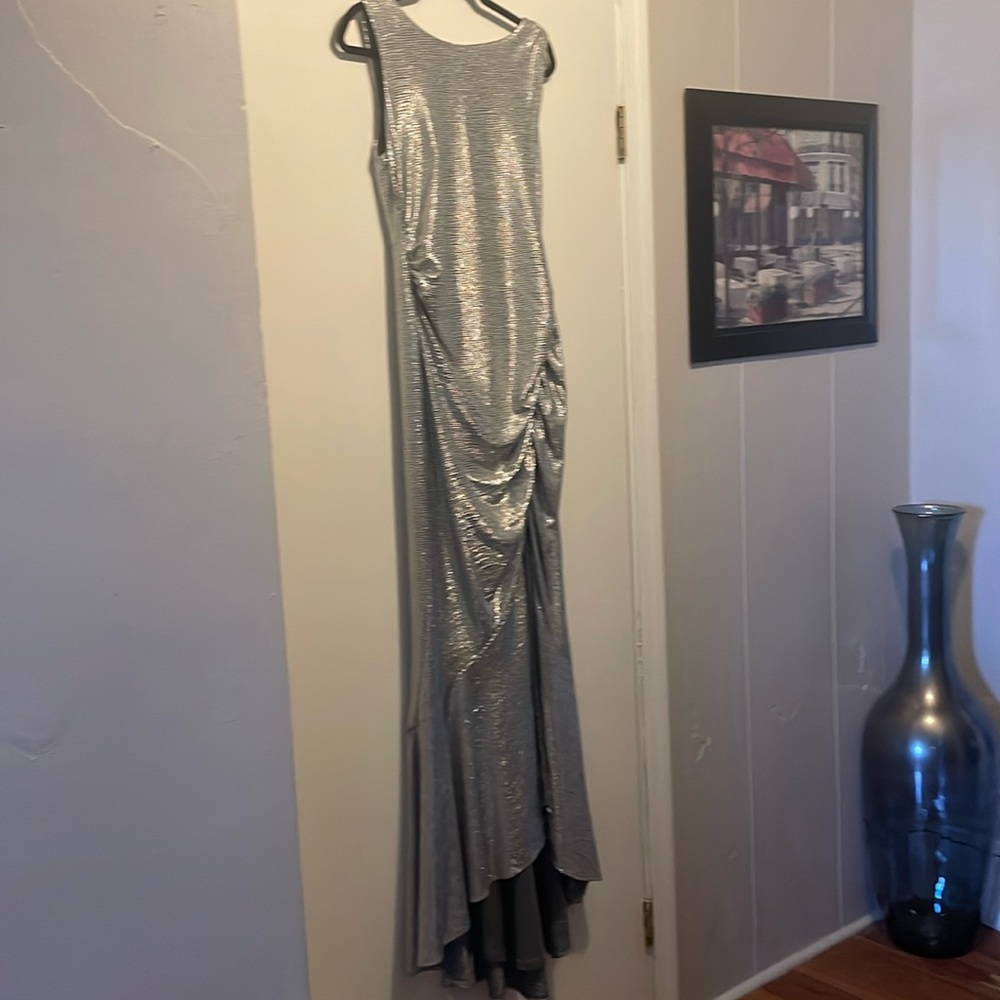 Silver gown